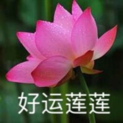 乐玩天剑奇缘手游下载